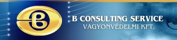 B Consulting